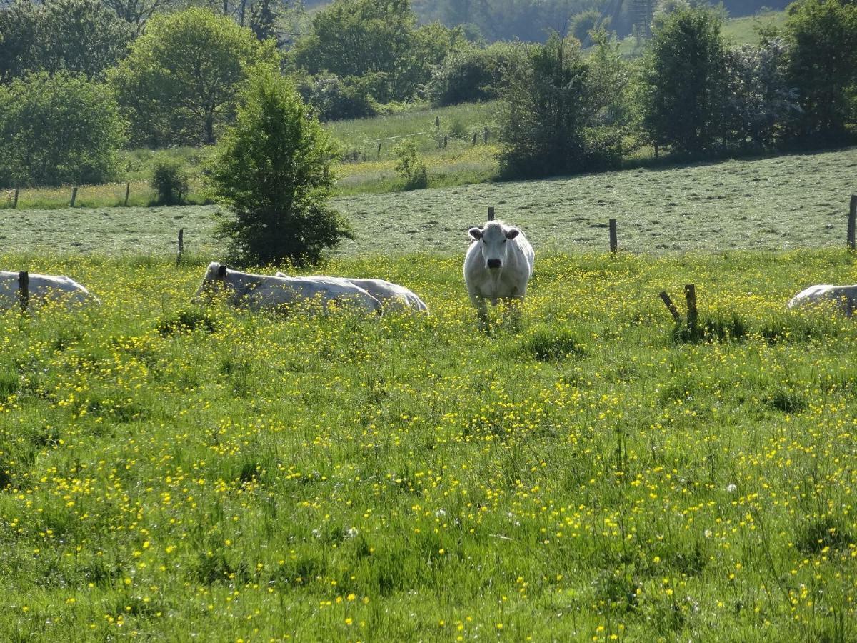 La Fermette Blanche Bed and Breakfast Nadrin Buitenkant foto